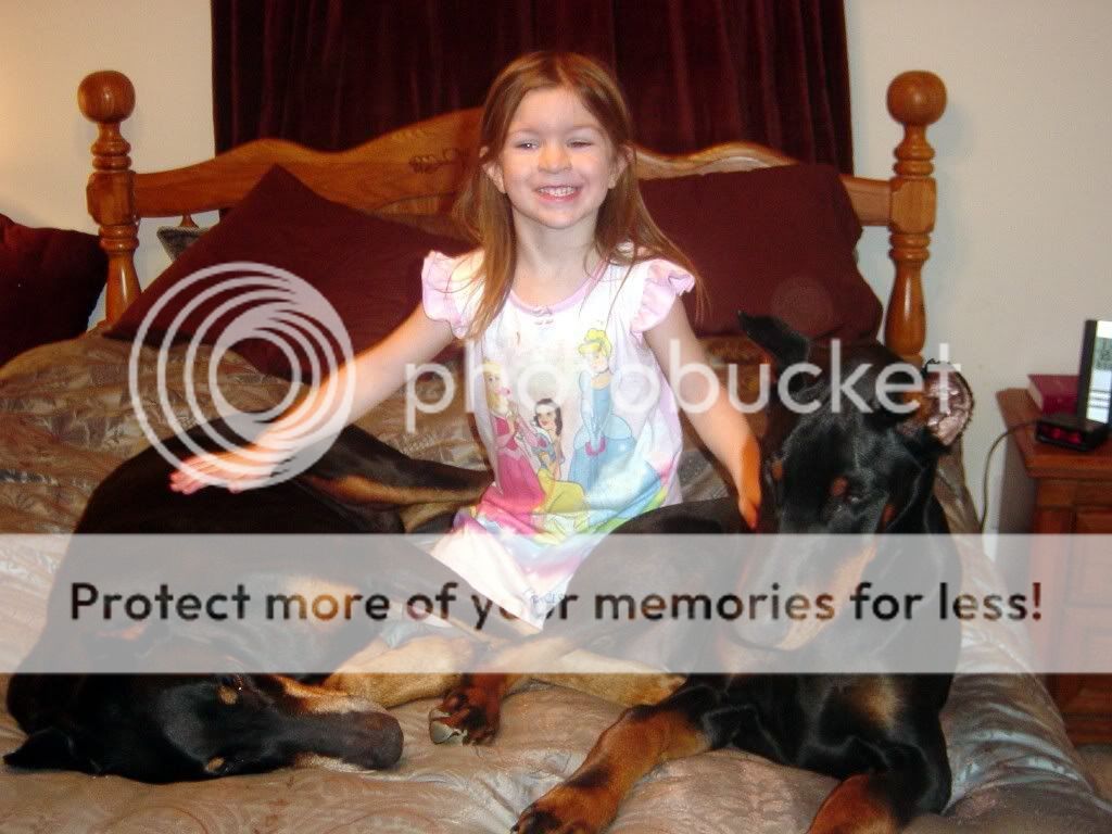 ChristmasandDogs025.jpg