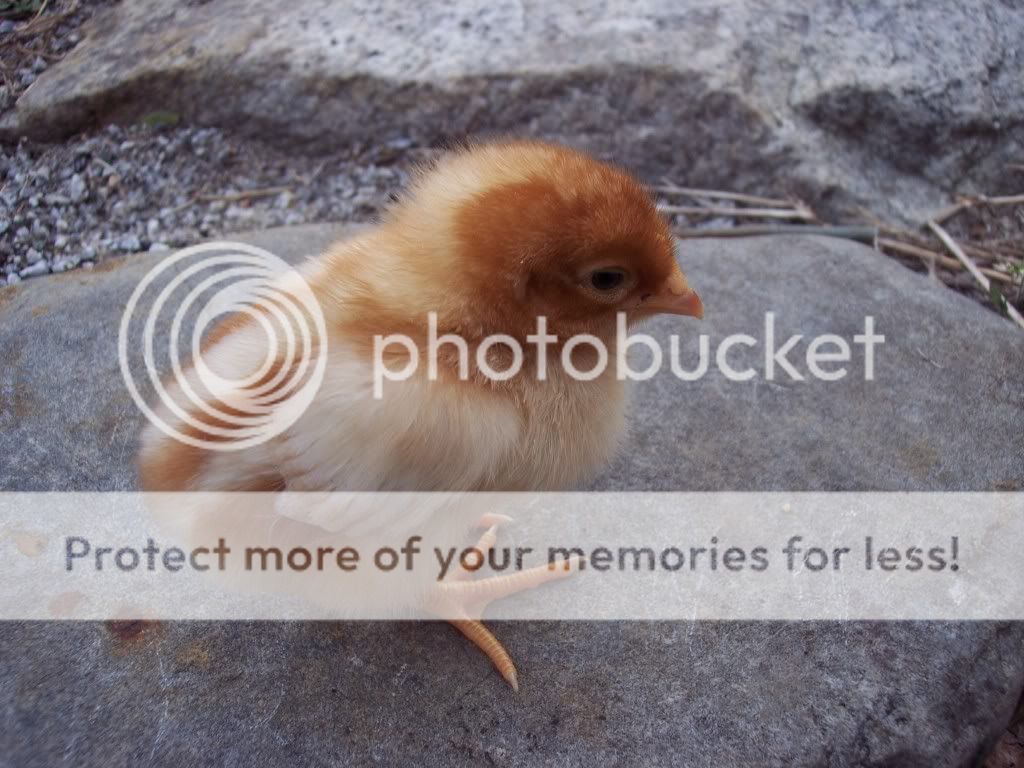 april292009014.jpg