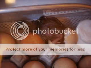 Chick2hatching006.jpg