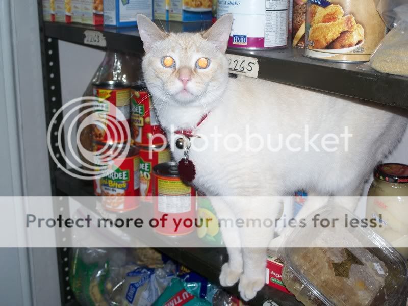 HomeMay2010009.jpg