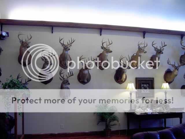 Thanksgiving008.jpg