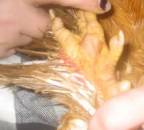 100_0024.jpg