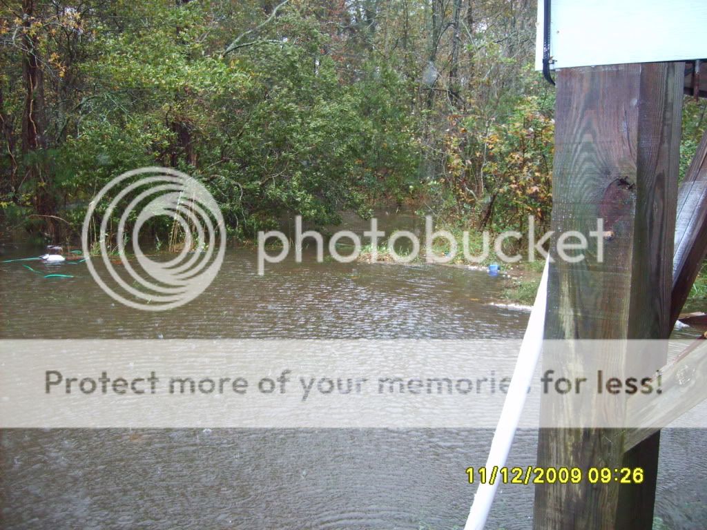 flood033.jpg