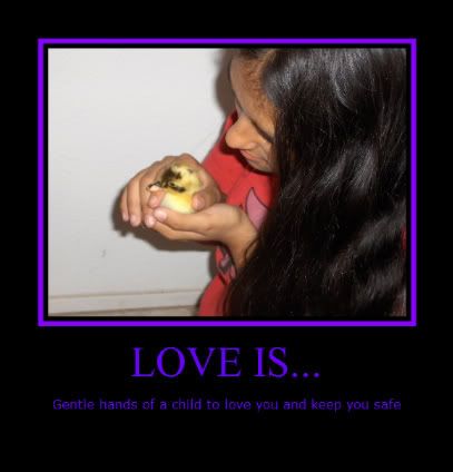 ChynDuckie2-1.jpg