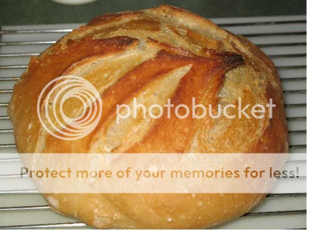 5MinuteBread005.jpg
