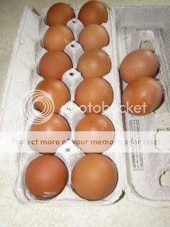 012-1.jpg