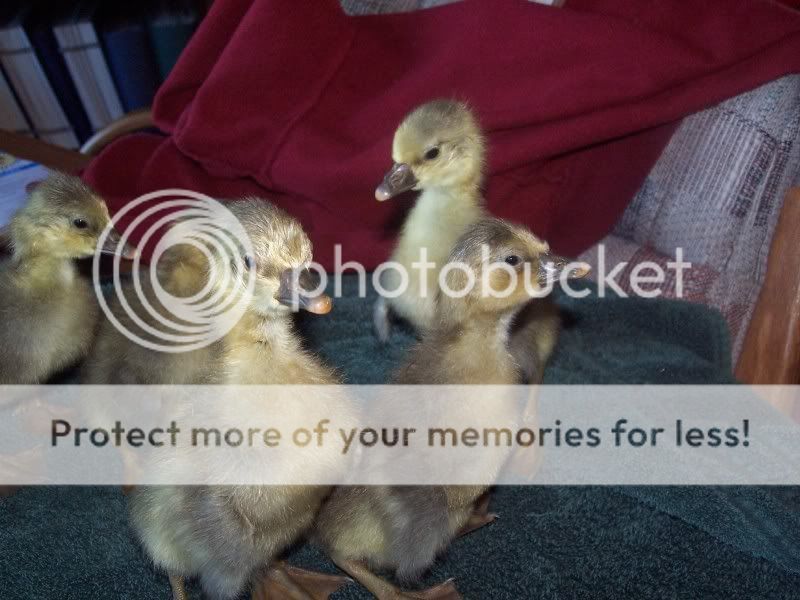 100_6172.jpg
