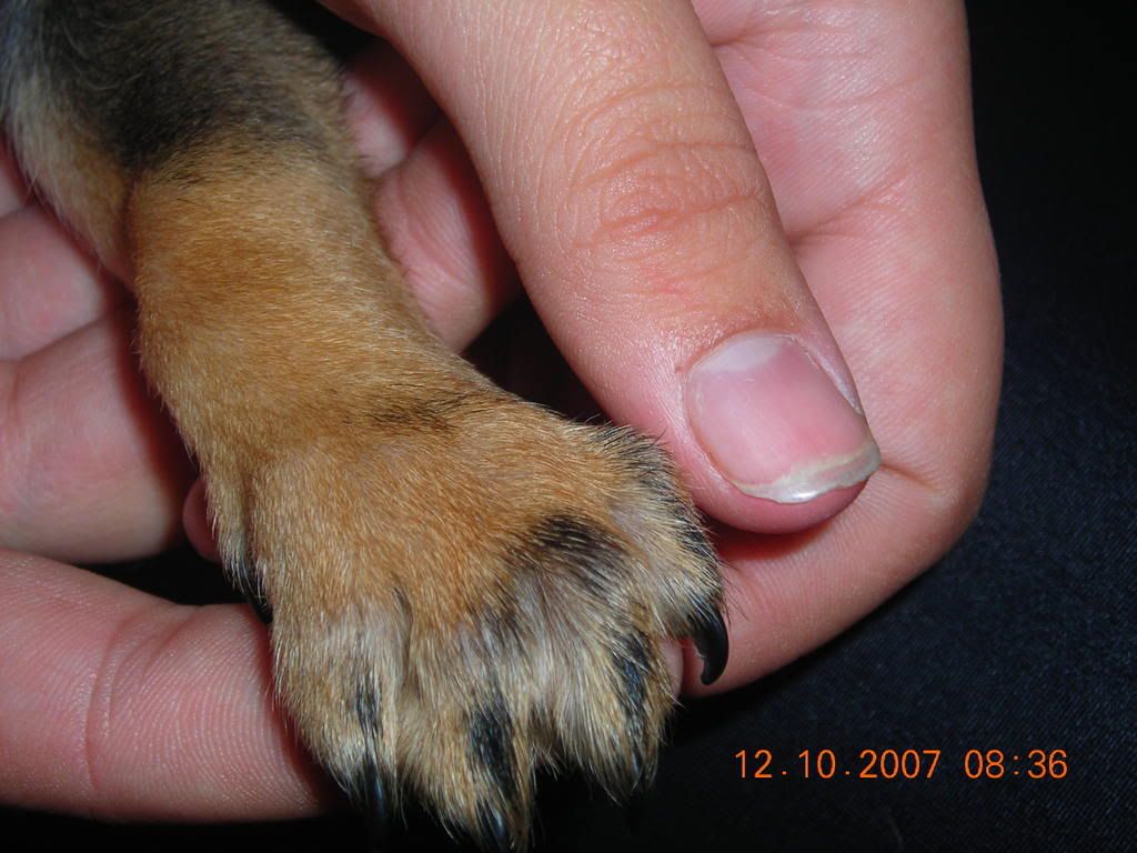 DSCN1613.jpg