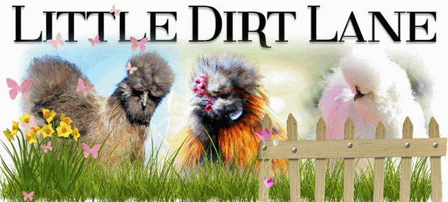 SILKIESBANNER-LDLFARMS.gif