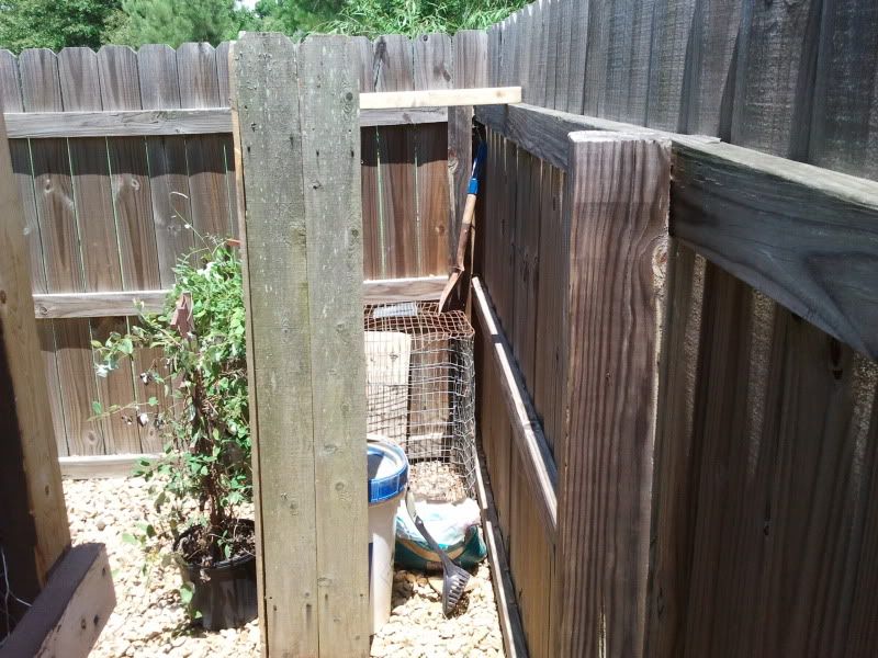 2011-06-25134858.jpg