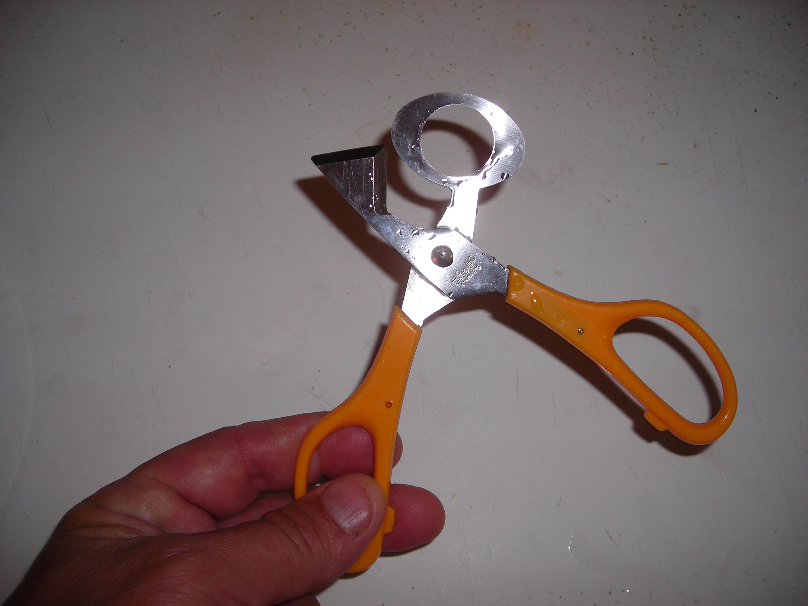 DSCN5648.jpg
