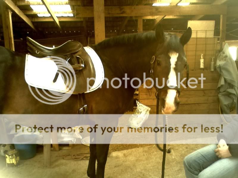 031708_1614jpgdarker.jpg