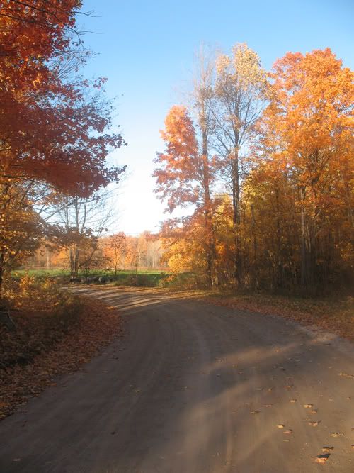 fallcolours.jpg