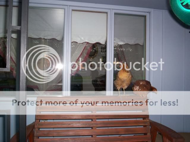 6-12-2007-103.jpg