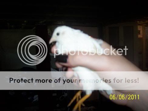 Picture330.jpg