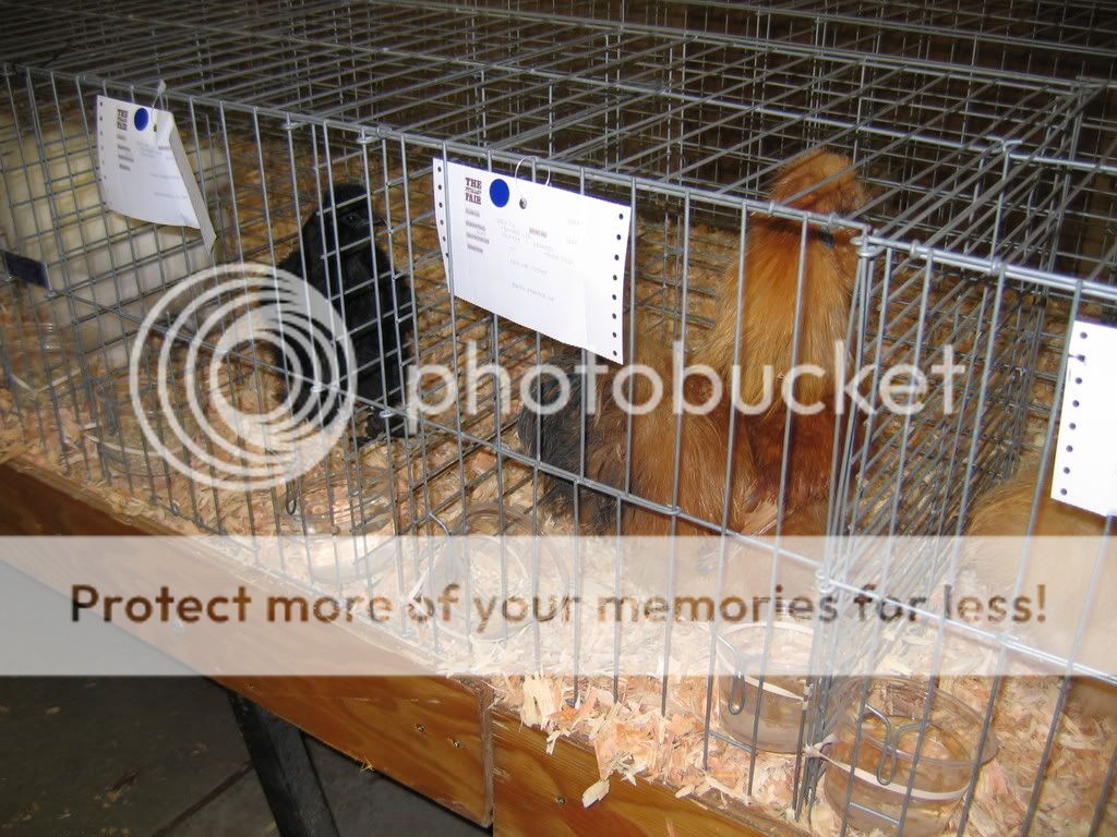 IMG_1052.jpg