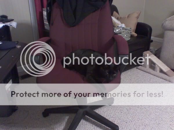 normanchair2.jpg