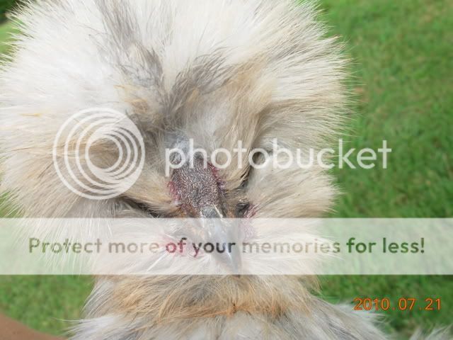 DSCN2624.jpg
