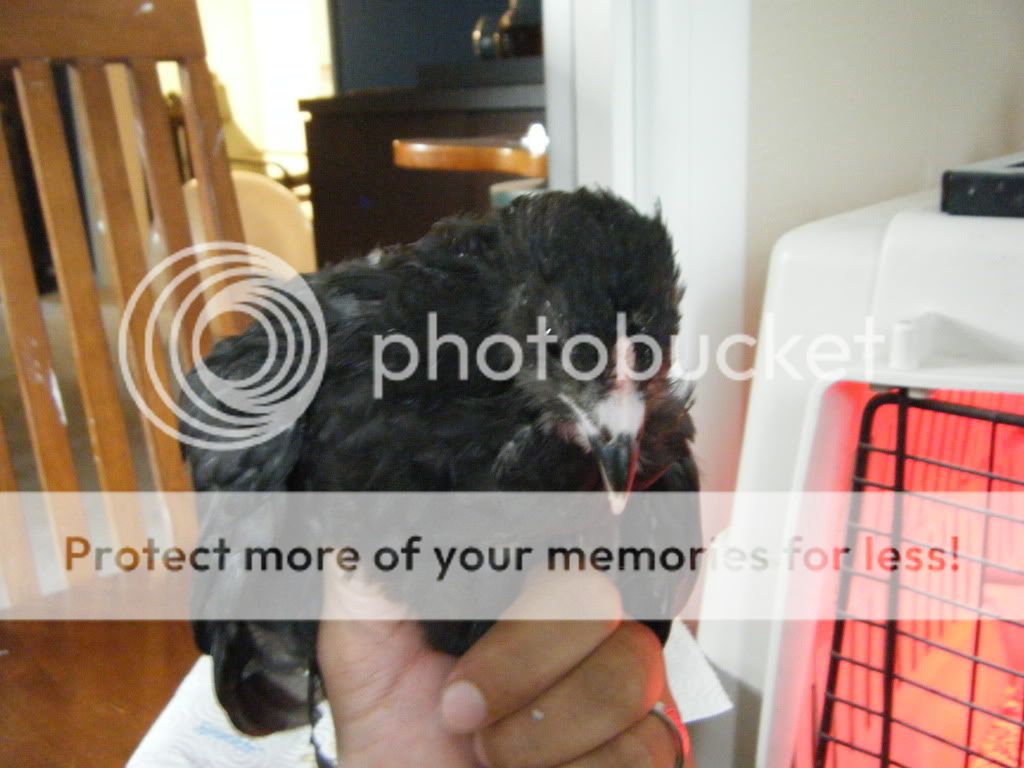 DSCF4761.jpg