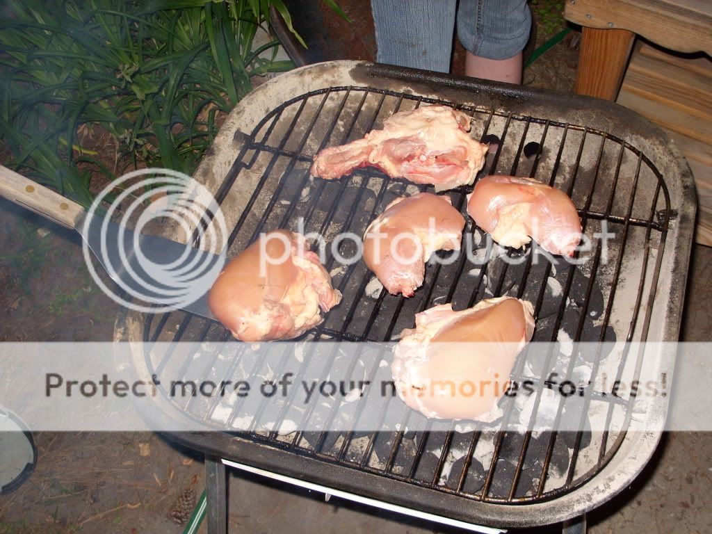 chicken007.jpg