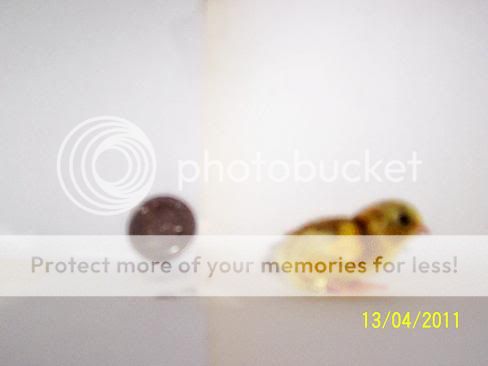 Picture140.jpg