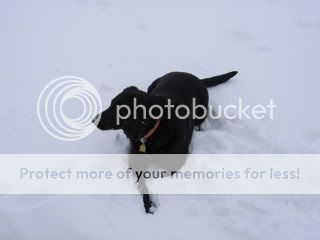 IMG_0351.jpg