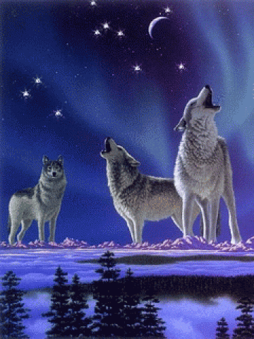 Howling-Wolves-Starry-Night.jpg