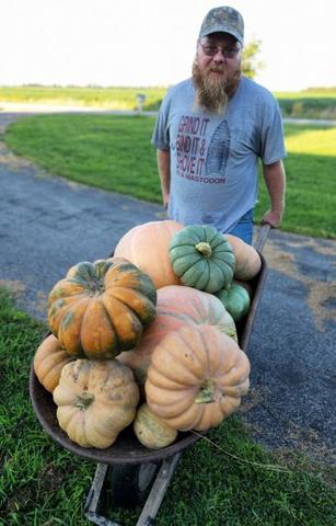 full-665-150599-pumpkins_3.jpg