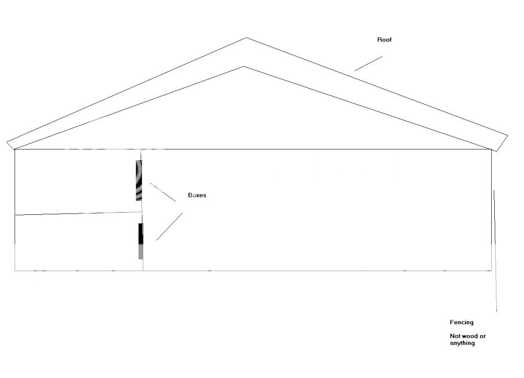 CoopDesign3.jpg