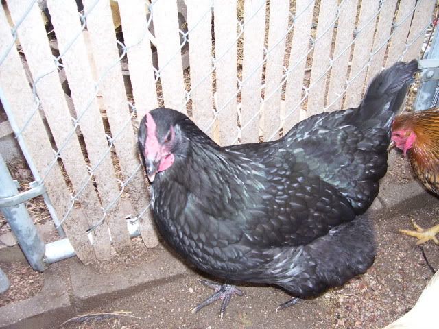 100_2566.jpg