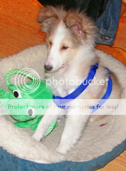 100_7616.jpg