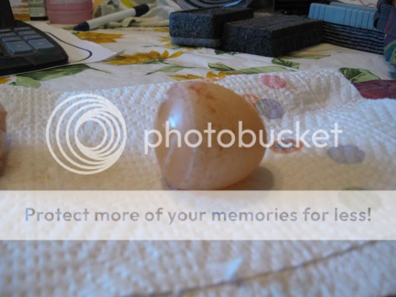 IMG_2170.jpg