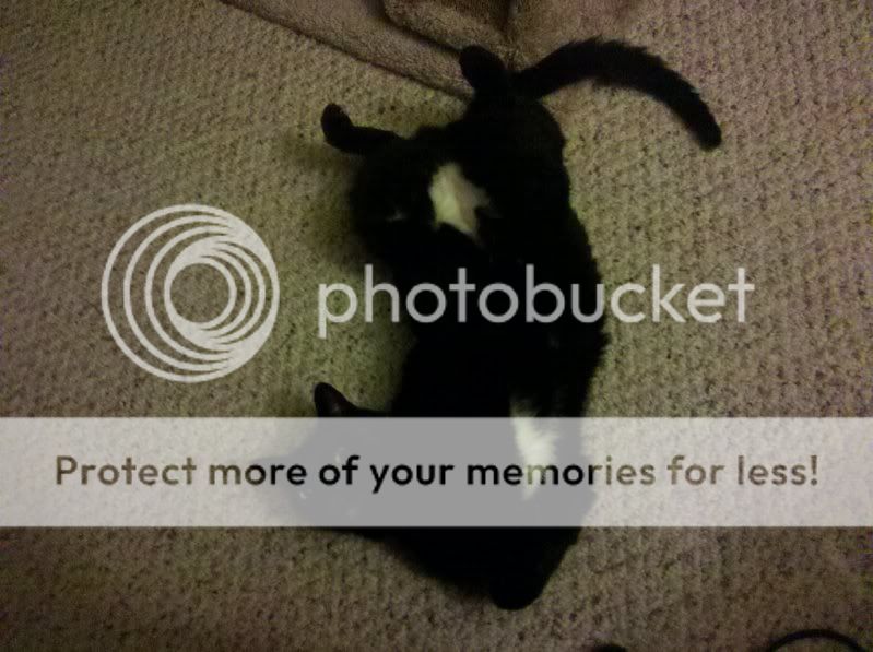 138047890_photobucket_628_.jpg