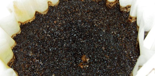 coffee-grounds1.jpg