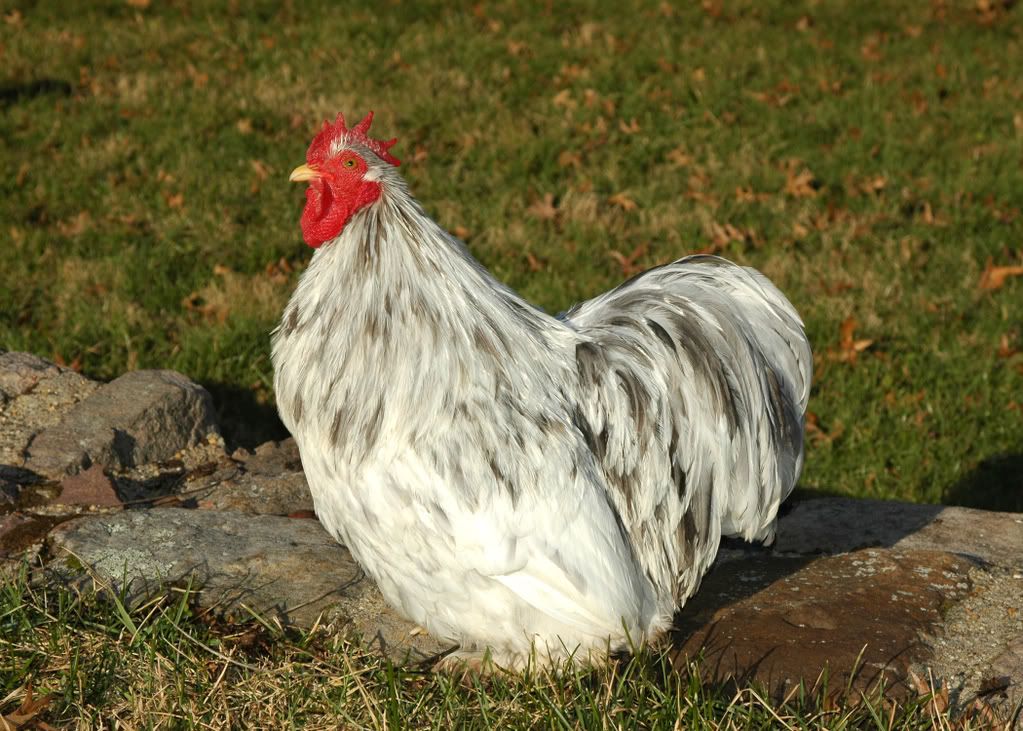 DSC_1469.jpg