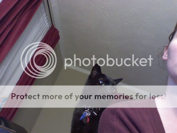 normanshoulder.jpg