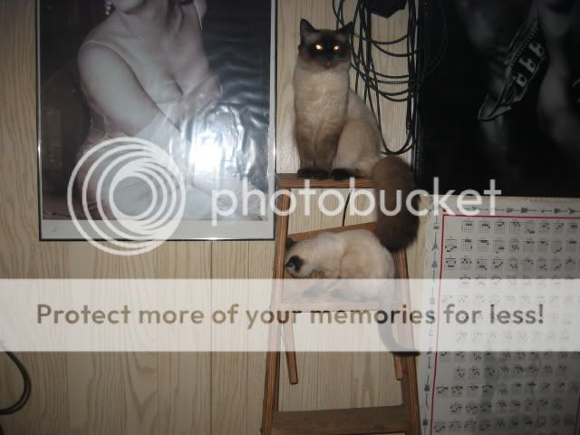 100_0015-24.jpg