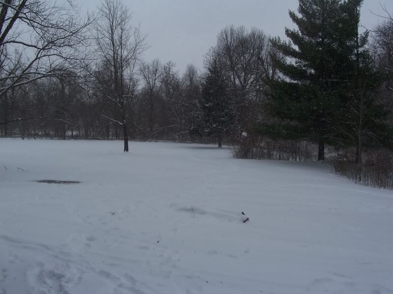 100_2656.jpg