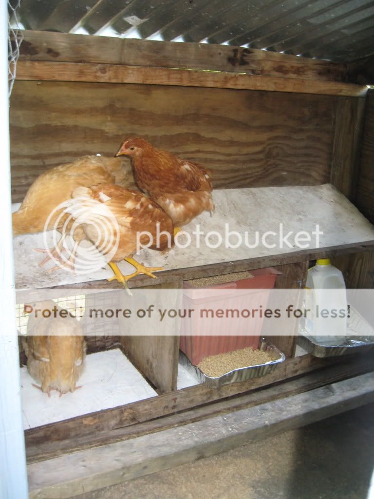 Picture022-1.jpg