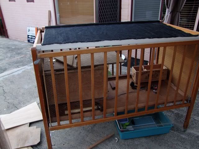 DSCF0136.jpg