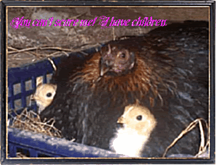 editingpic-1.gif