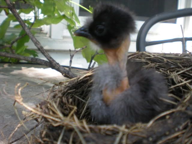 DSCN0635.jpg