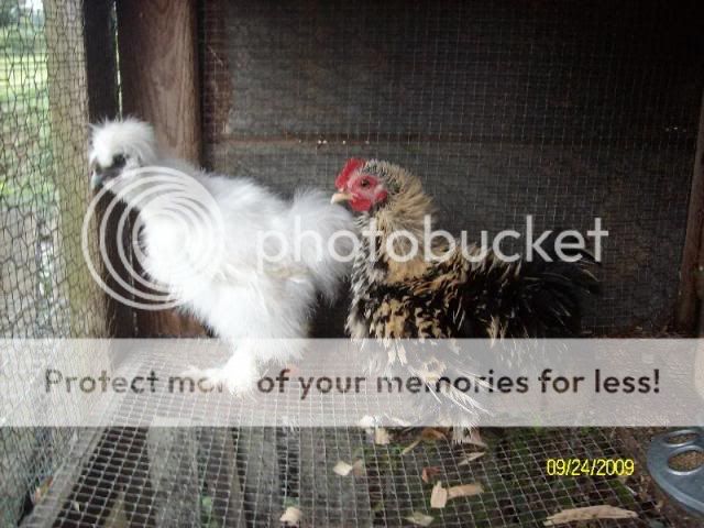 CrissysPictures079.jpg