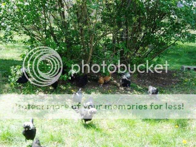 outing004.jpg