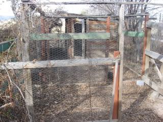 chickencoop001.jpg
