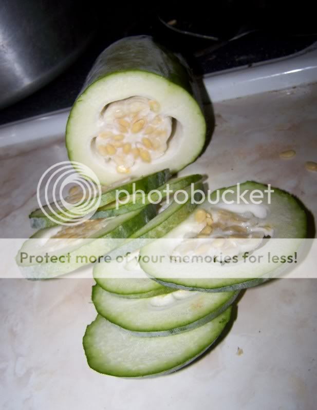 fmelon3.jpg