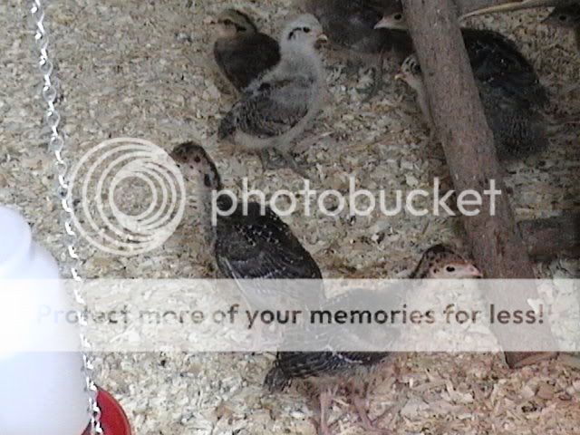 DVC00157.jpg