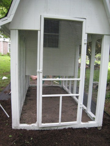 chickens%20010%20%5B640x480%5D.JPG