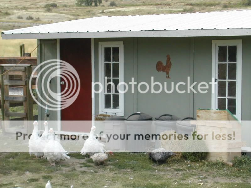 DSCN4756.jpg