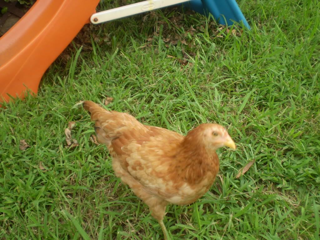PEEPS022-1.jpg